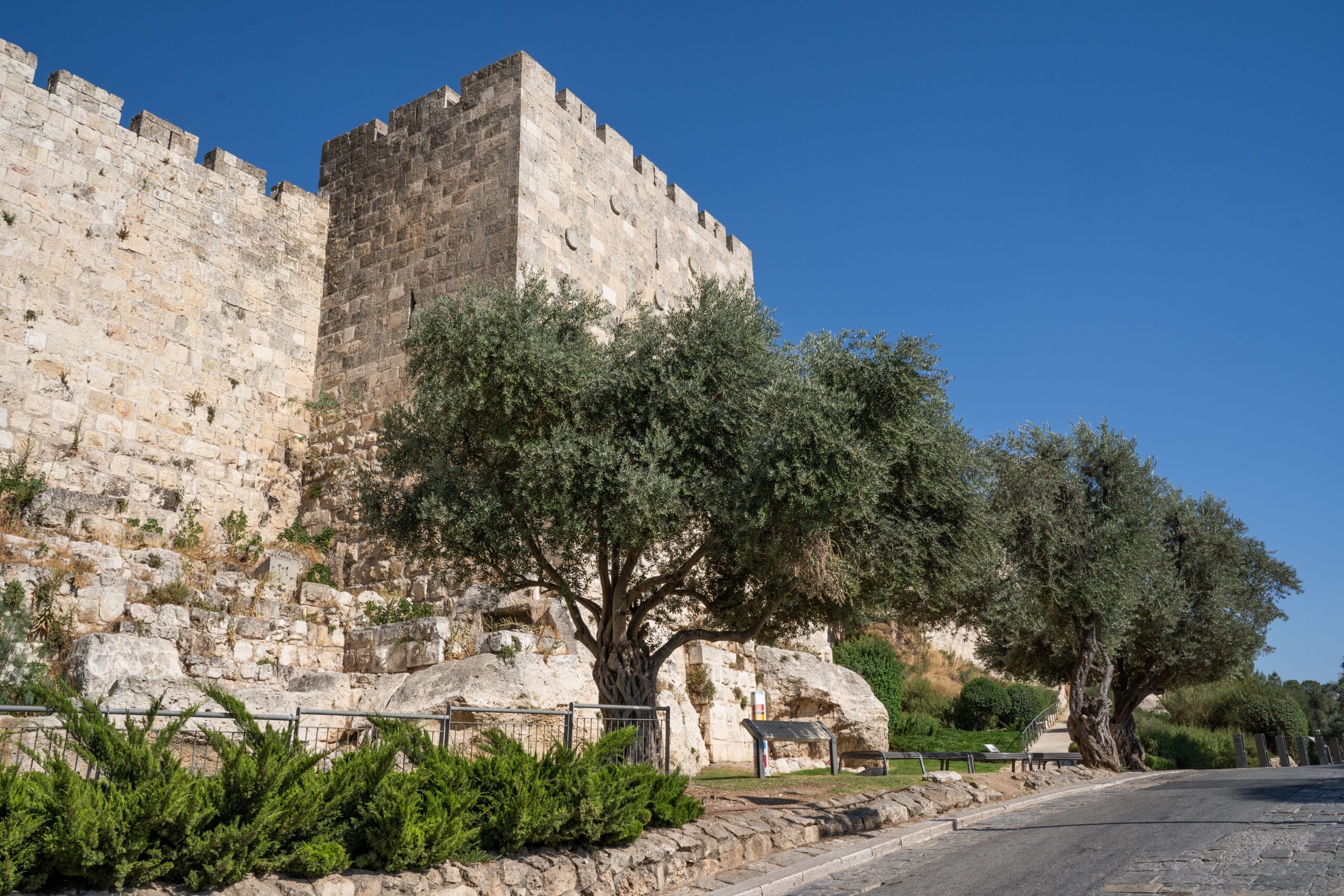 תצלום של הכותל